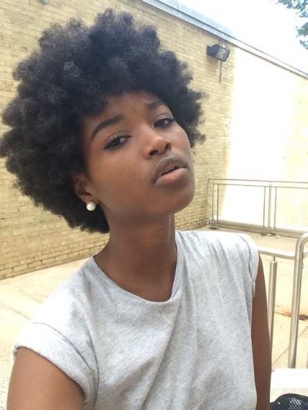 Afro hår stilar