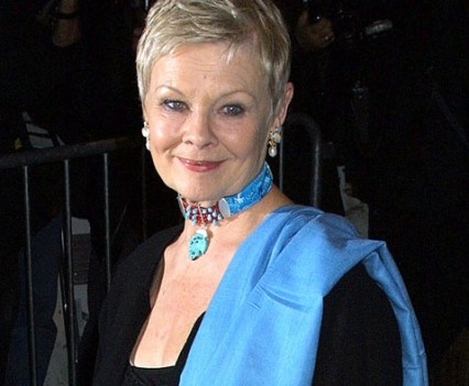 Judi dench frisyr