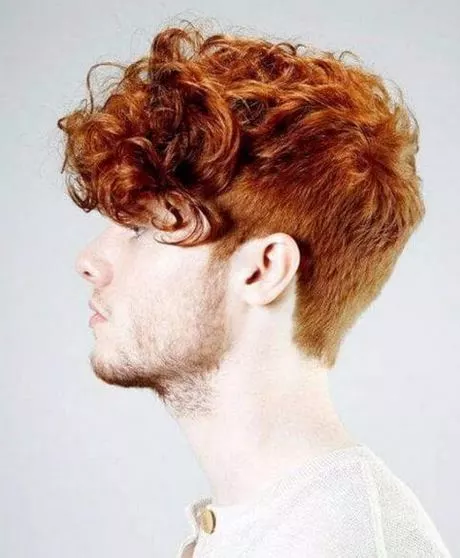 Curly frisyrer för män